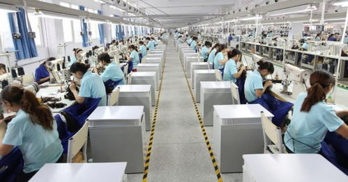 2022年河南電子商務(wù)運(yùn)行呈穩(wěn)定增長態(tài)勢，經(jīng)營額達(dá)12122.45億元