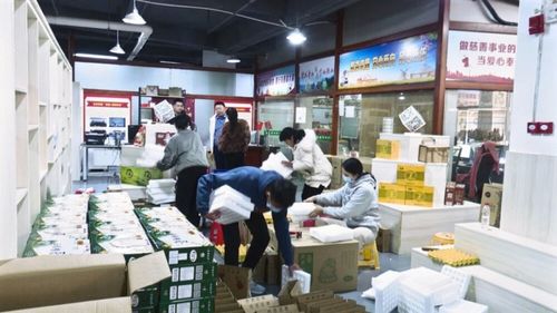 廣東南雄 培育壯大農(nóng)村電商經(jīng)營主體，激活鄉(xiāng)村振興新動(dòng)能