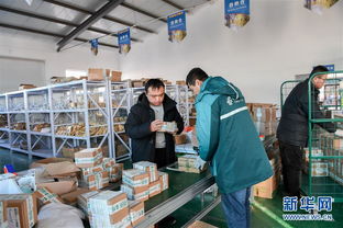 打造產業園區，賦能農產品銷售，構建電子商務新生態