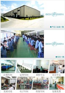 奧康恩的電子商務經營之道 創新、整合與可持續發展