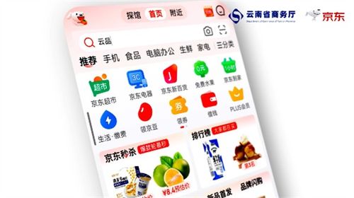 四季云品，產地云南 電商年貨節盛典啟幕，點燃新春消費熱情